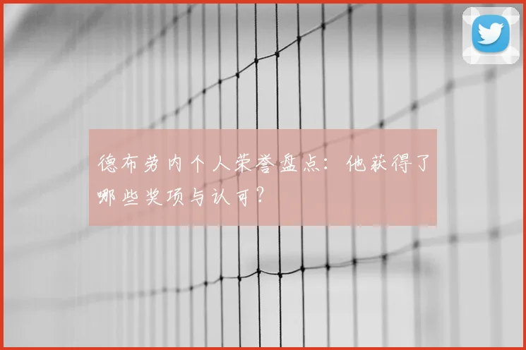德布劳内个人荣誉盘点：他获得了哪些奖项与认可？